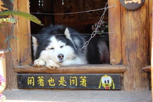  相亲现场,一对男女在介绍各自的工作