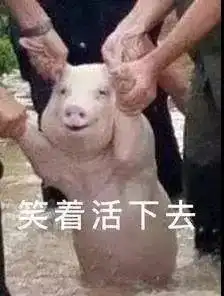 小猪佩琪表情包小猪猪