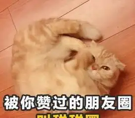  幽默段子这年头男人要是跟男人结婚,就会有两套房两辆车