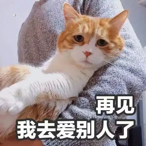  分享干货男友绝地求生指南