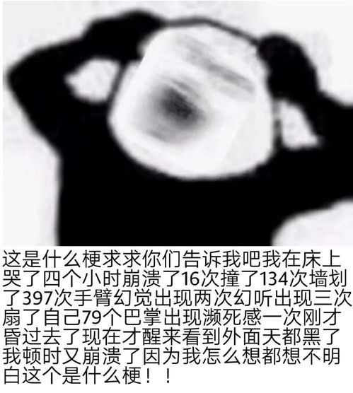  表情包丨憨憨表情包