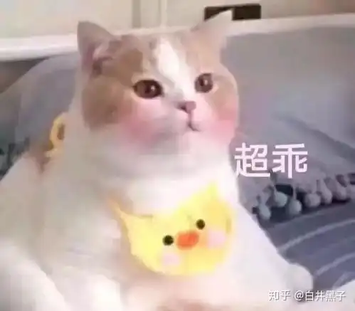  有哪些可以哄男朋友的表情包