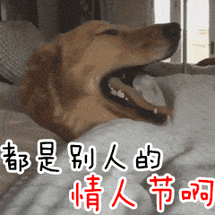  放假没头条要不给大家送点狗年斗图表情包好了