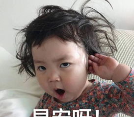 刚起床头发乱的表情包早安呀