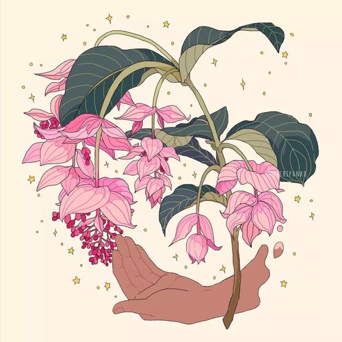  过年的时候,如果送你这样一个东西你要吗