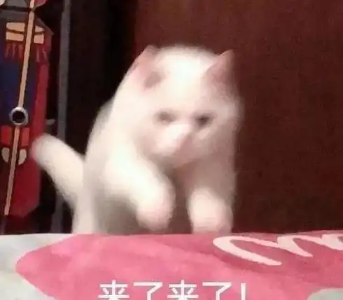 哲学表情包奇葩事