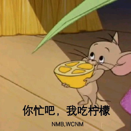  让我看看是哪个秃头女孩还不睡觉猫咪猫咪秃头女孩睡觉哪个表情