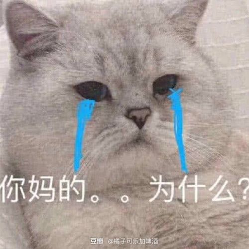  红红火火恍恍惚惚