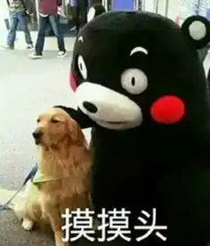  成都美女向婚恋公司定制一款挽回前男友服务,不料对方竟闪婚搜狐