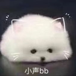 真怂表情包曲扬