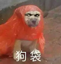  萌宠图片表情包无水印版