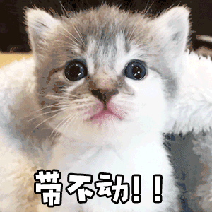  王者荣耀专用表情包gif一群猪队友,能不能别送了呀
