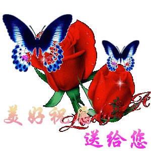 老婆你真棒动态表情包早