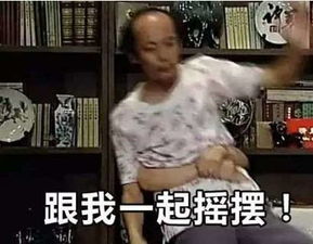 葛优表情包动图片酬