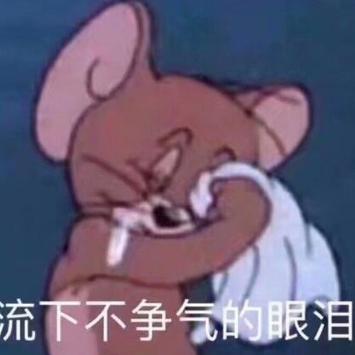 不理我的第一天表情包