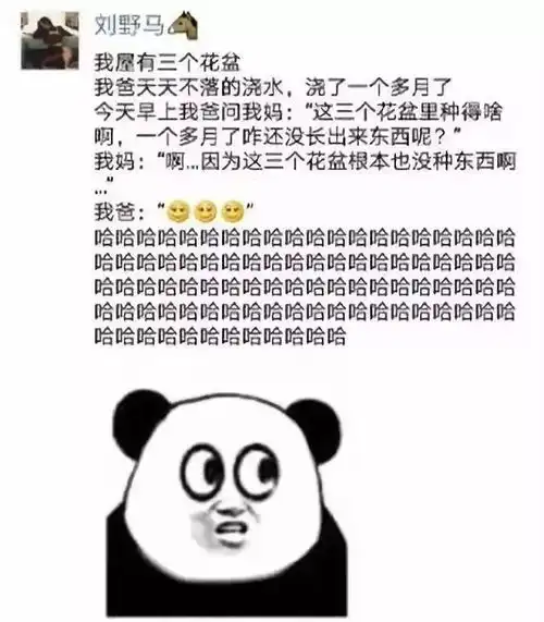 笑死人不偿命的表情包截