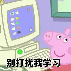  猪年,是时候对自己下手了