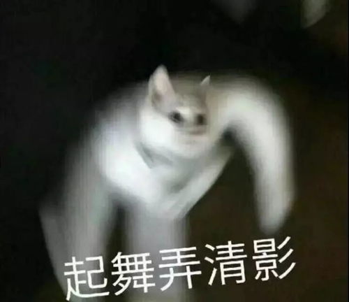  峄城法院公开审理一卖淫团伙中国驻卡拉奇领事馆遭袭,三嫌犯被击毙