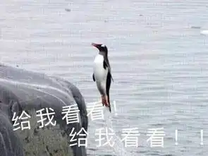  冬日有你,暖身暖晴爱暖长跑又来了