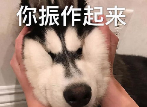  家里不差钱,能请一对一家教吗教育部的回应,让家长们安心