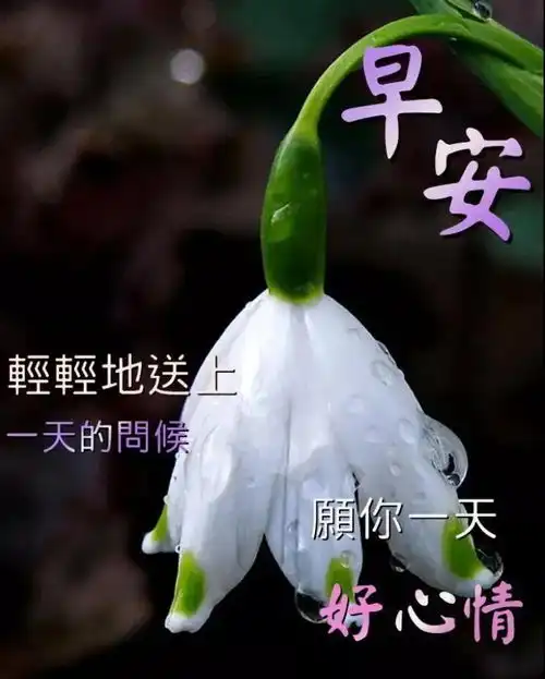 8张非常创意好看的朋友早上好问候图片带字精选,免打字秋天早安问候图片带字 8张非常创意好看的朋友早上好问候图片带字精选,免打字秋天早安问候图片带字