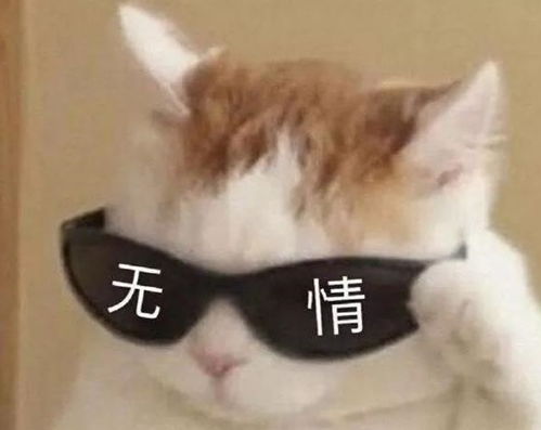  水滴筹道歉6天后,我p的病历还能发起10万爱心捐款