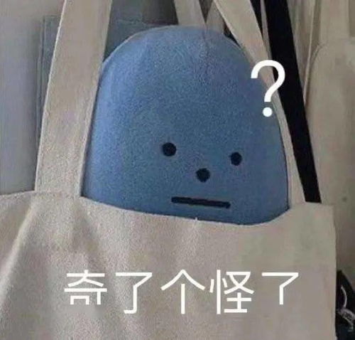  丁真上节目素颜截图流出...网友哈哈哈哈这张脸太绝了