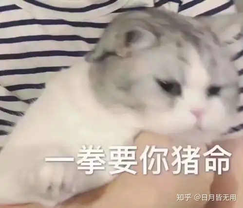 躺平喷雾表情