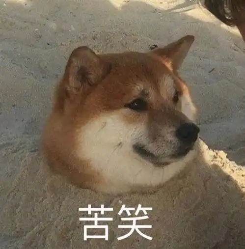  没有发酵成功的面粉糊能做什么吗