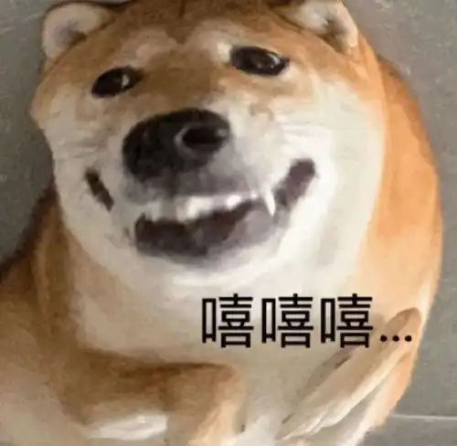  憨憨狗子表情包