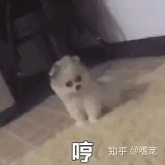  在女生生理期的时候你遇到过什么尴尬的事儿