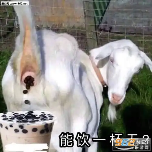 动态表情包大便