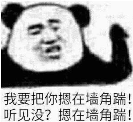  王者荣耀碰瓷流克制养猪流,你怎么看
