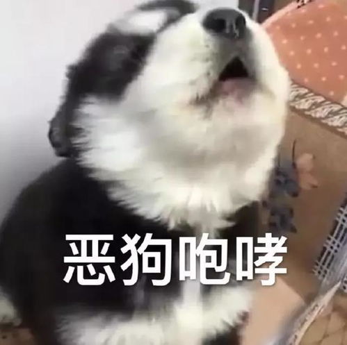  搞笑段子我查看男朋友的手机,发现自己就是小三