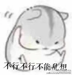  小仓鼠的爱老婆表情包