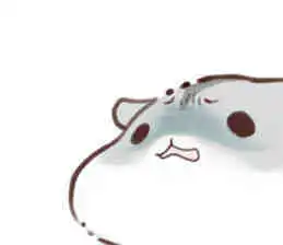  一套可爱的小仓许表情包
