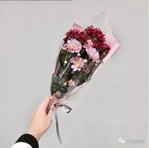  当下流行的包装纸,都在这了