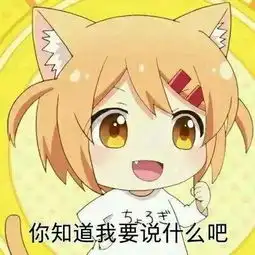给我也整一个每日表情包十二  给我也整一个每日表情包十二