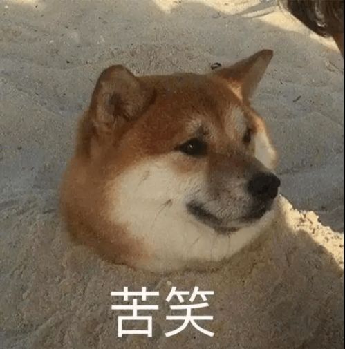  重阳节送礼指南,保证不被爸妈骂