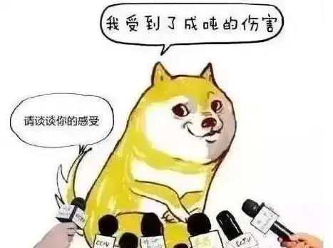  曾经有一份真挚的狗粮摆在我面前,而我没有好好珍惜
