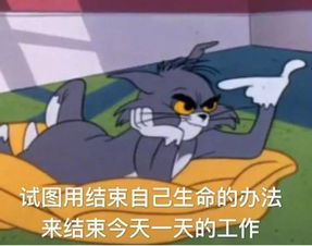  一条全是聊天常用的表情包,都是新图