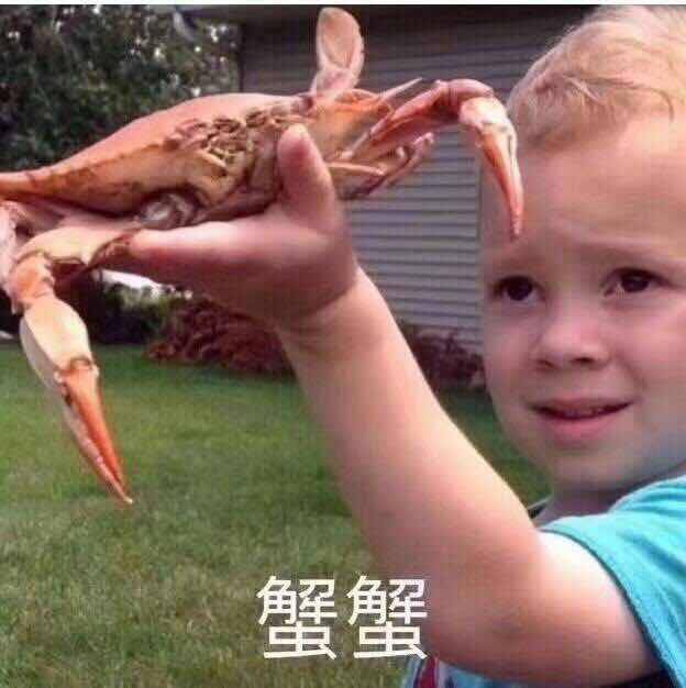  速速扩散昨日暴雨丢车牌的车主看这里找不到了可以这样补办