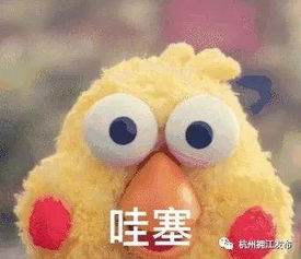  下个月贯通富阳将再添一座跨江大桥