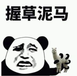  加油,跨境电商