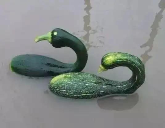  柳河的人民看过来,发几张不正经的照片给大家看看,让你开心一下
