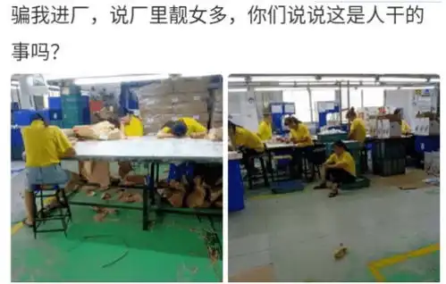 我进厂了表情包厂子