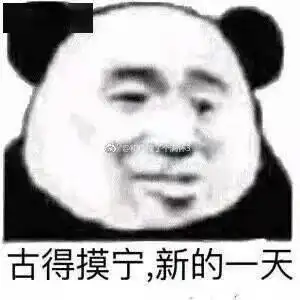  熊猫头表情包i你难道就没有一点羞耻之心吗