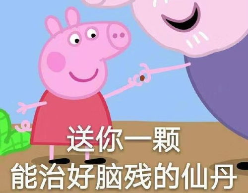  五个笑到岔气的小故事