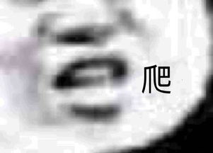  工作太无聊员工竟如此解闷轻松一刻9月22日周末版