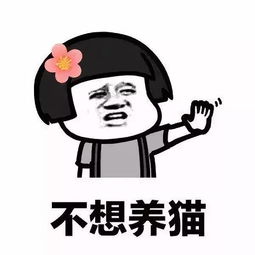  整人套路表情包我养你啊宝贝